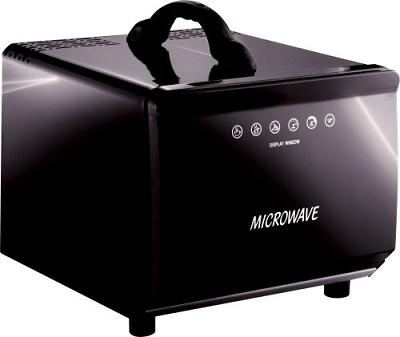 microondas-coche.jpg