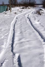 nieveeee.jpeg