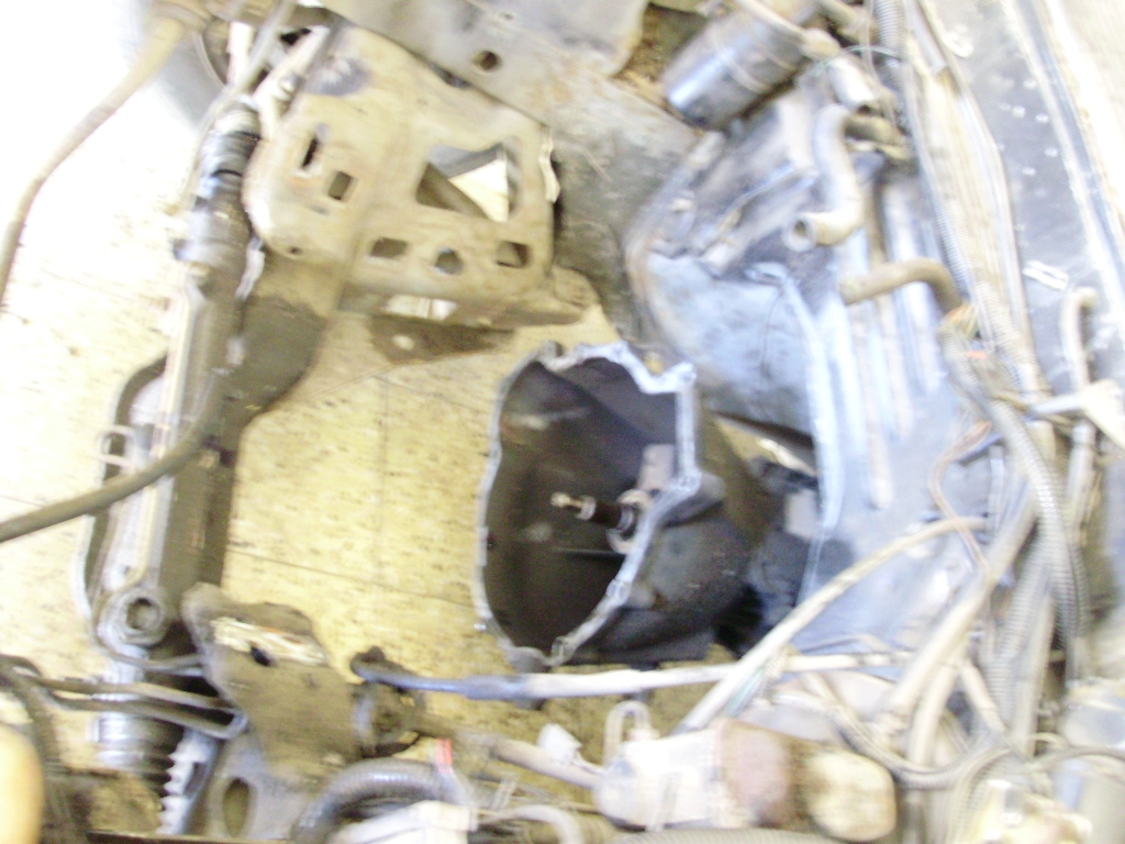 P1050079.JPG