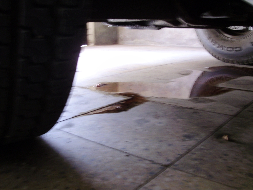 PA050015.JPG