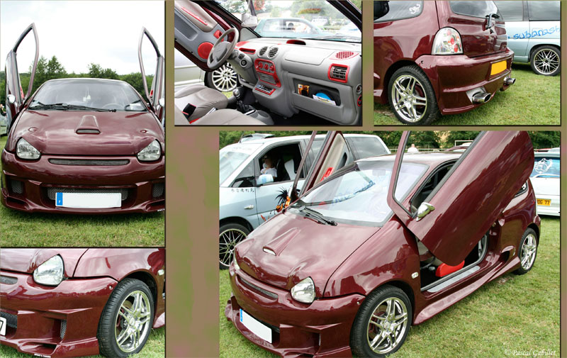 twin110.jpg